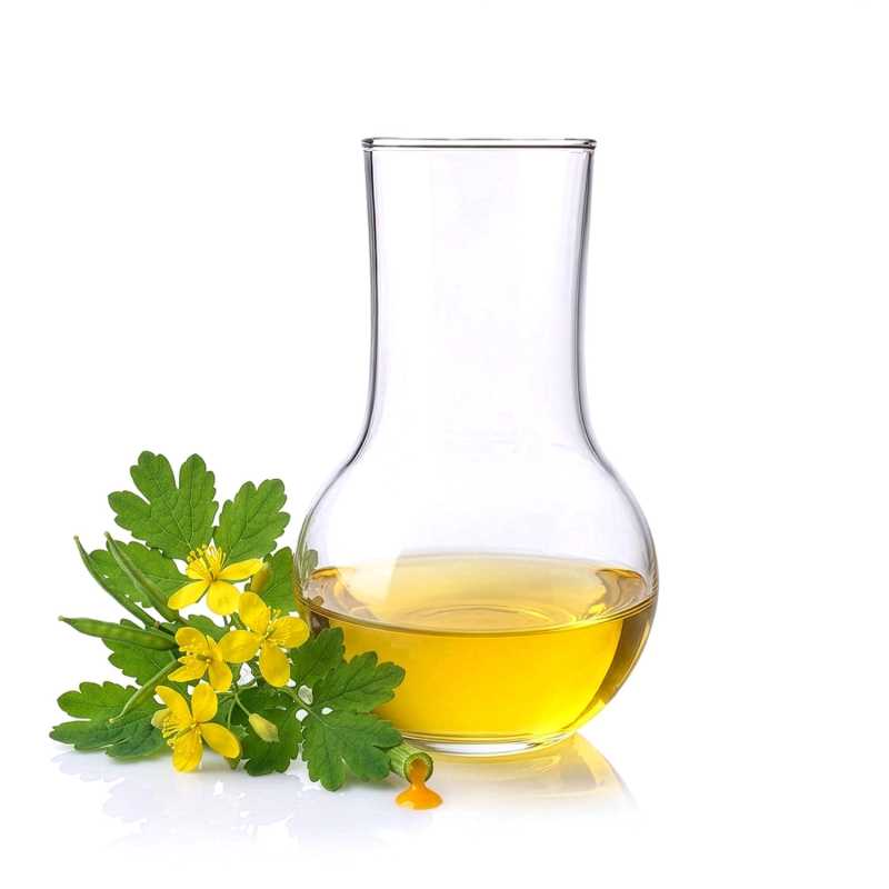 Celidonia Active Lipo Extract, 1 l