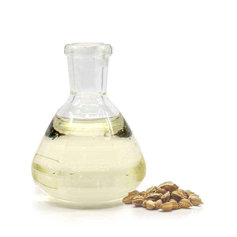 Argan Oil Deodorized, Organic, 5 l