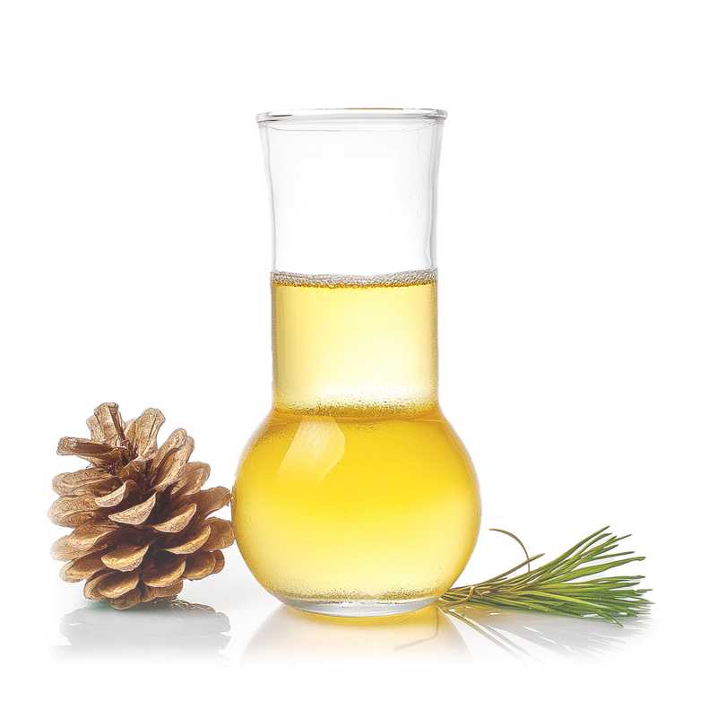 Pine essential oil is obtained by steam distillation of the needles and twigs of the Pinus Silvestris plant, the Scots pine. It is used extensively in the manuf