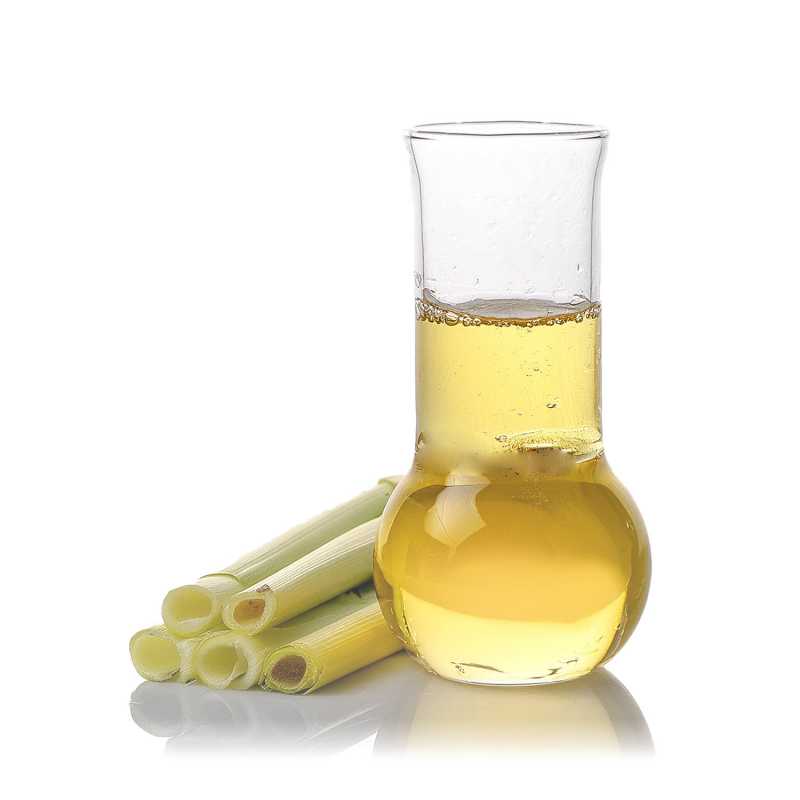 Lemongrass essential oil, or lemongrass, is known for its fresh scent and very good repellent properties. It is also often used for rheumatic foot ailments. All