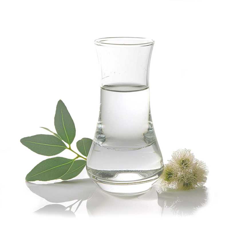 


Fresh eucalyptus essential oil derived from species native to Australia or South Africa is known for its very fresh and invigorating scent. Eucalyptus smi