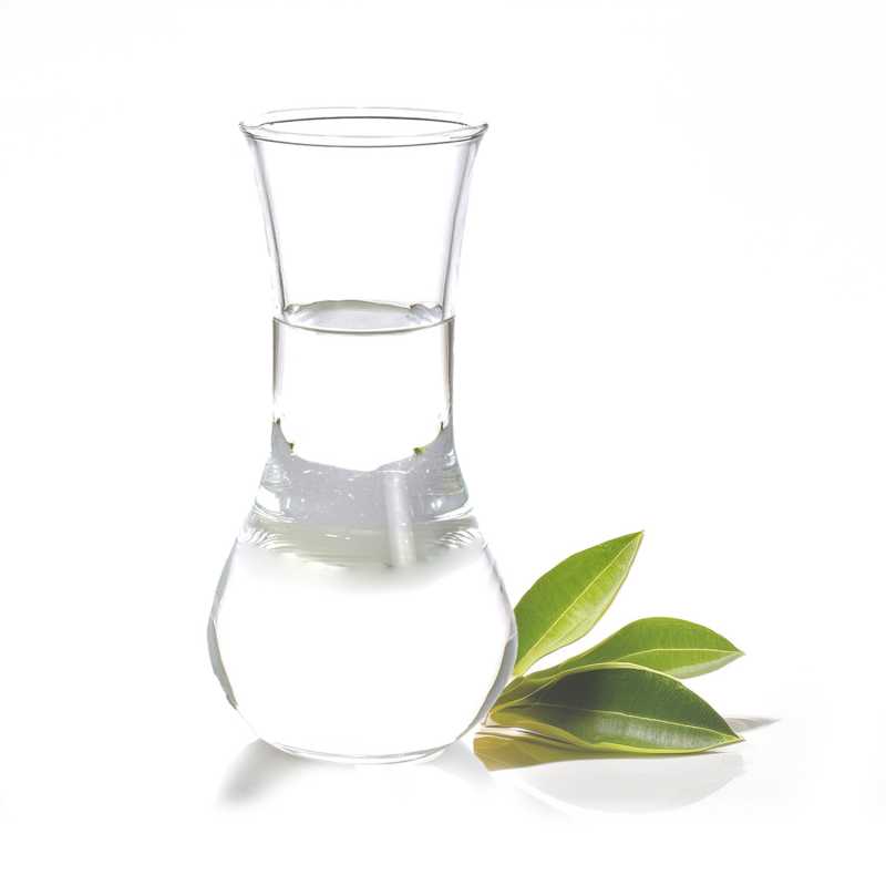 Camphor White Essential Oil, 500 ml