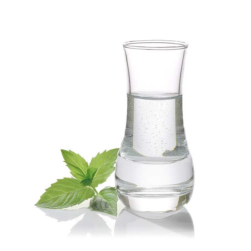 Mentha spicata essential oil has a wide range of uses, including soothing effects on skin problems, headaches, nausea, vomiting, respiratory problems and cold s