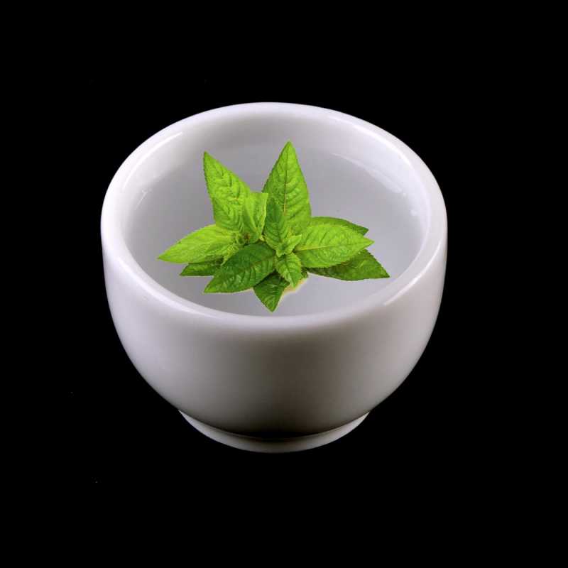 Peppermint essential oil has a characteristic, fresh minty scent with a cooling effect.
Due to its pronounced anti-analgesic and cooling effects, it is a very 