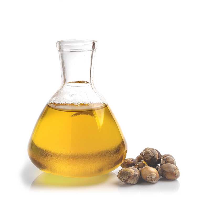 Castor oil is extracted from the seeds of the castor bean tree. It has undergone refining, i.e. a process in which it has been stripped of its aroma and colour.