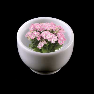 Floral Water, Geranium, 100 ml