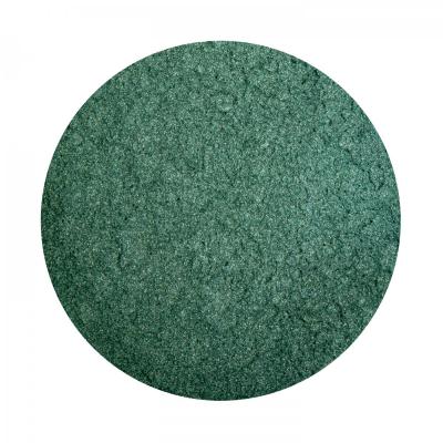 MICA Pigment Powder, Emerald Lagoon, 10 g